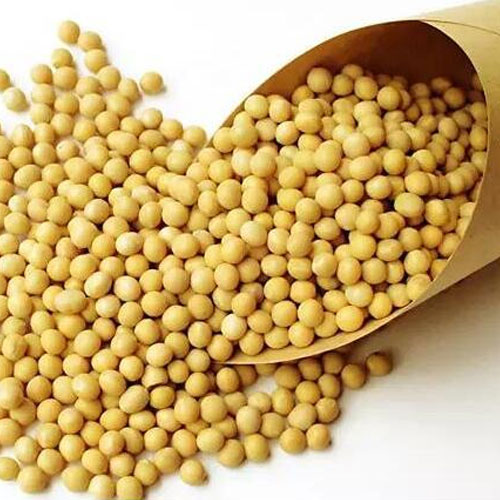 soy-Dry food and non-staple food delivery-Shenzhen Xiangrui Catering Management Co., Ltd.