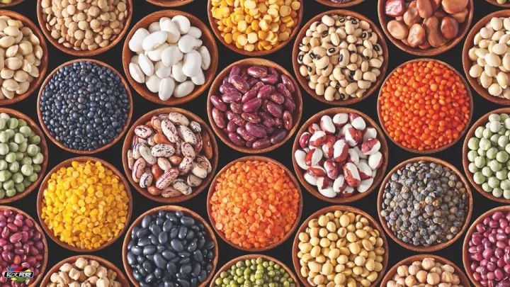 What to eat if you lose your appetite in summer?-Shenzhen Xiangrui Catering Management Co., Ltd.