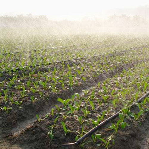 Planting base-Planting/breeding base