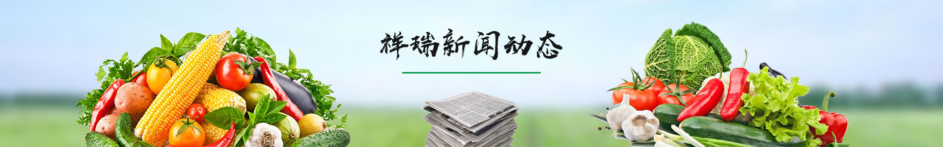新聞資訊banner_新聞資訊banner_深圳市祥瑞餐飲管理有限公司