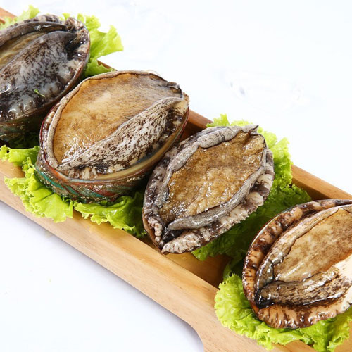 鮑魚-水產(chǎn)配送-深圳市祥瑞餐飲管理有限公司